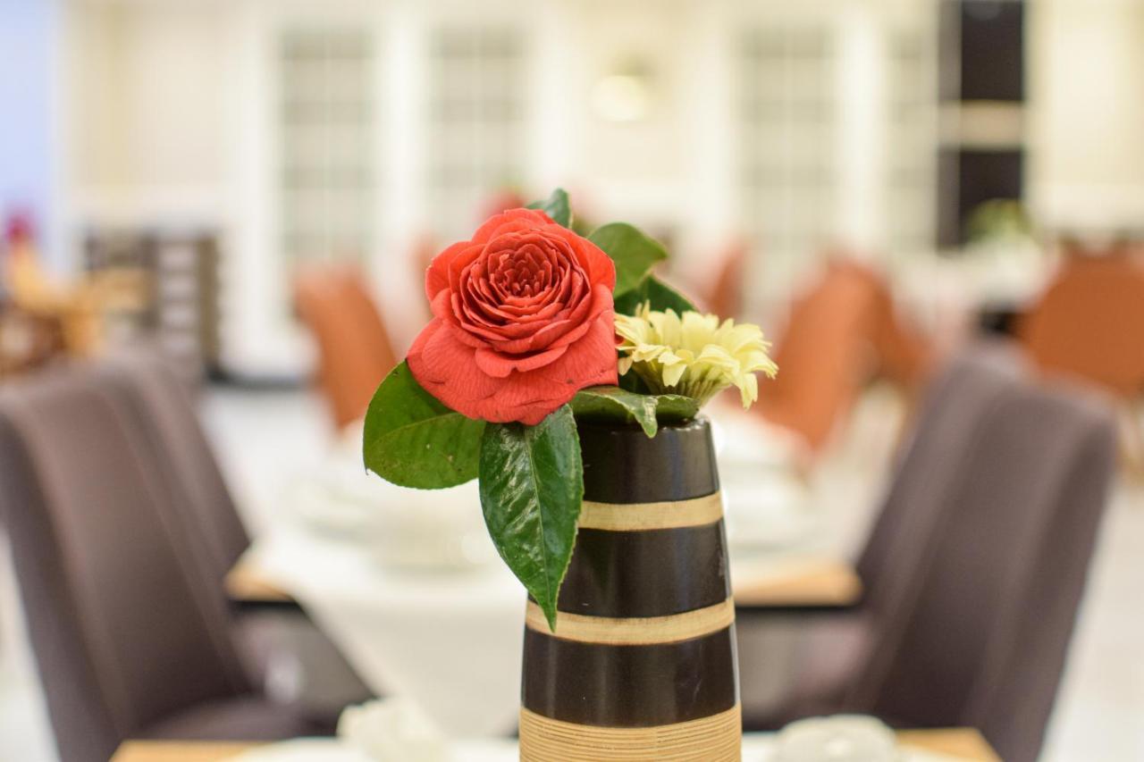 לונדון Pembridge Palace Hotel מראה חיצוני תמונה